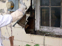 Looking for Hives